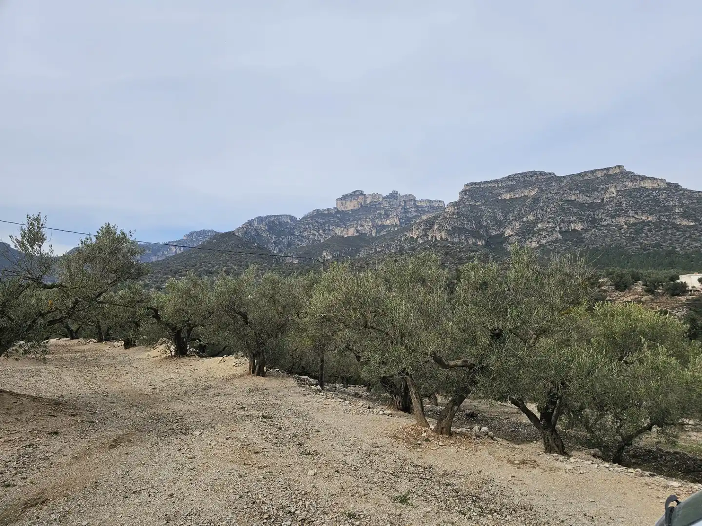 Rural land for sale in Roquetes, imagen 21