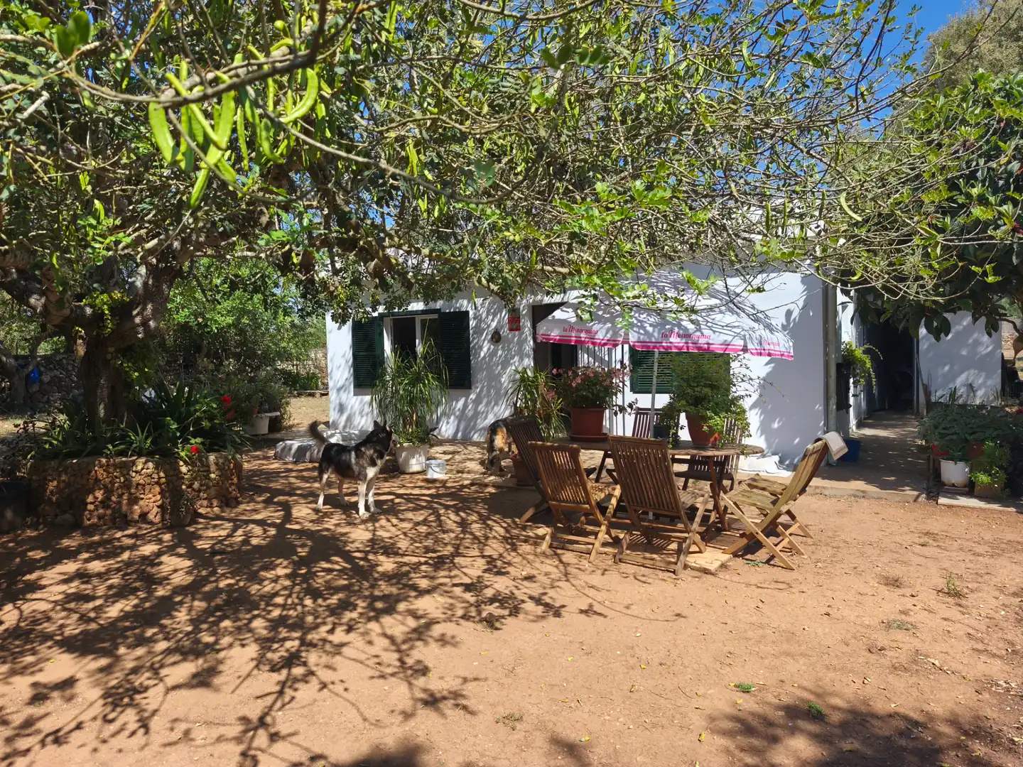 Villa mit Garten zum Verkauf in Algaida, imagen 6