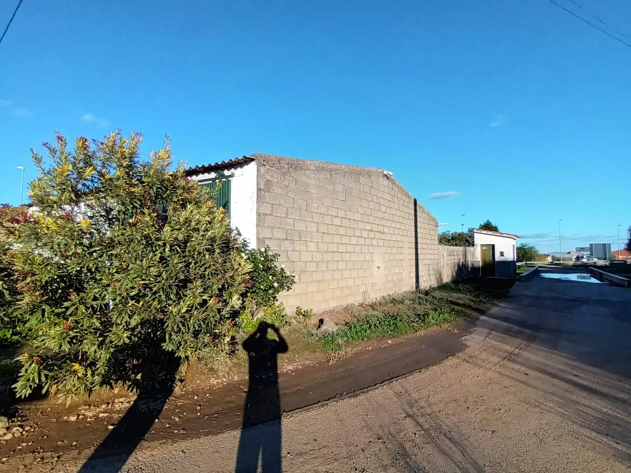 Terreni e lotti in vendita a Carretera Valverde de Mérida 11, imagen 3