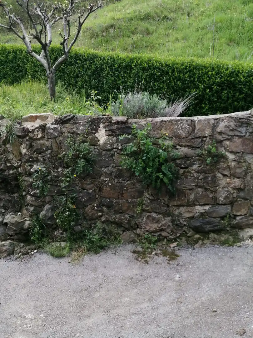 Jardí de Casa o xalet en venda en Vega de Liébana amb Jardí privat, Moblat i Balcó