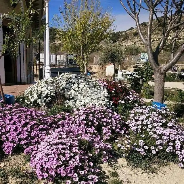 Casa con giardino in vendita a Partida les Macaroves, imagen 5