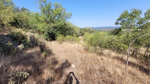 Finca rústica con acceso directo en Sanchotello, imatge 4