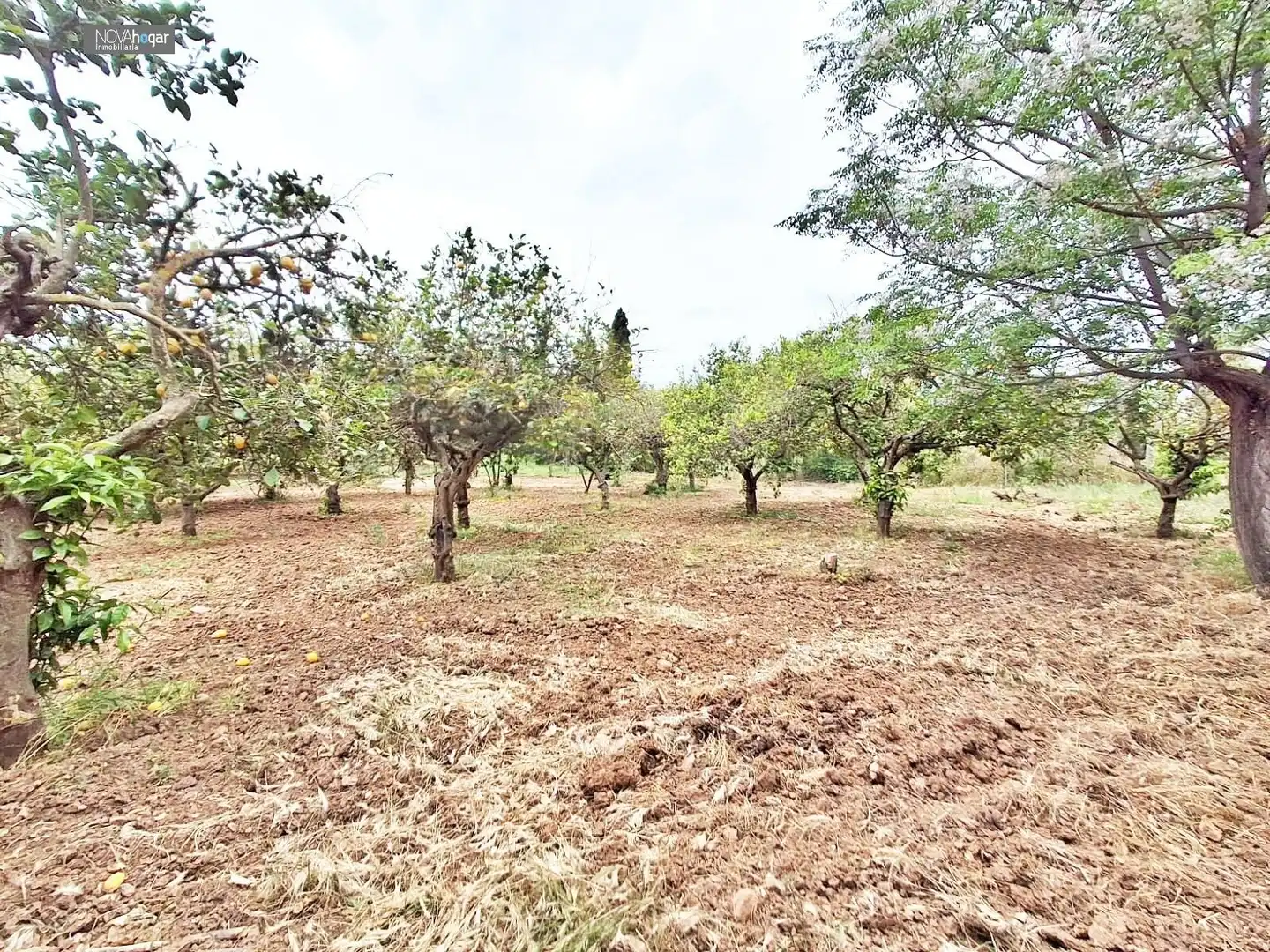 Finca rústica en venda en Málaga amb Aire condicionat, Calefacció i Jardí privat