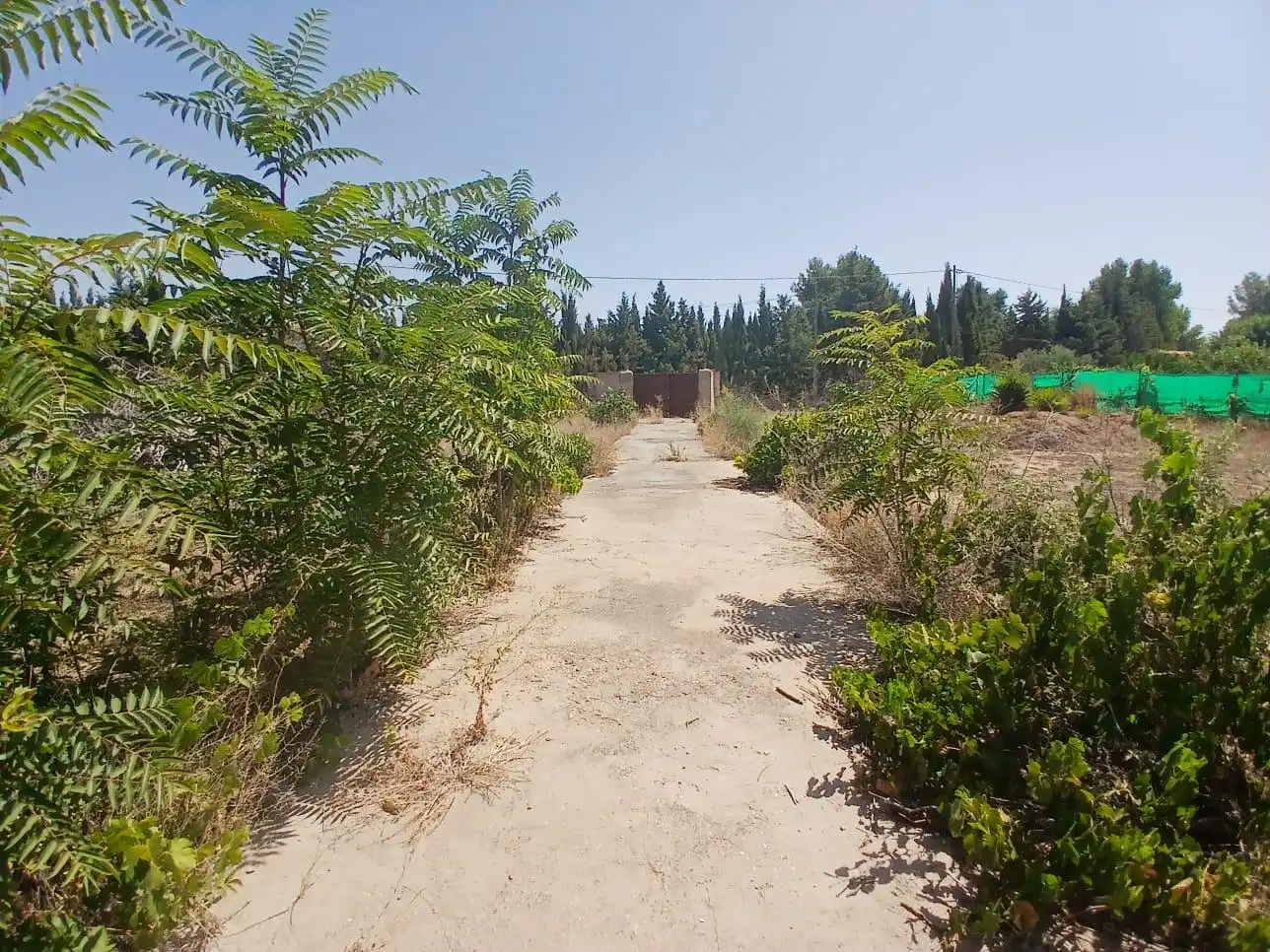 Terreno rustico in vendita a Santa Teresa - Vereda, imagen 2