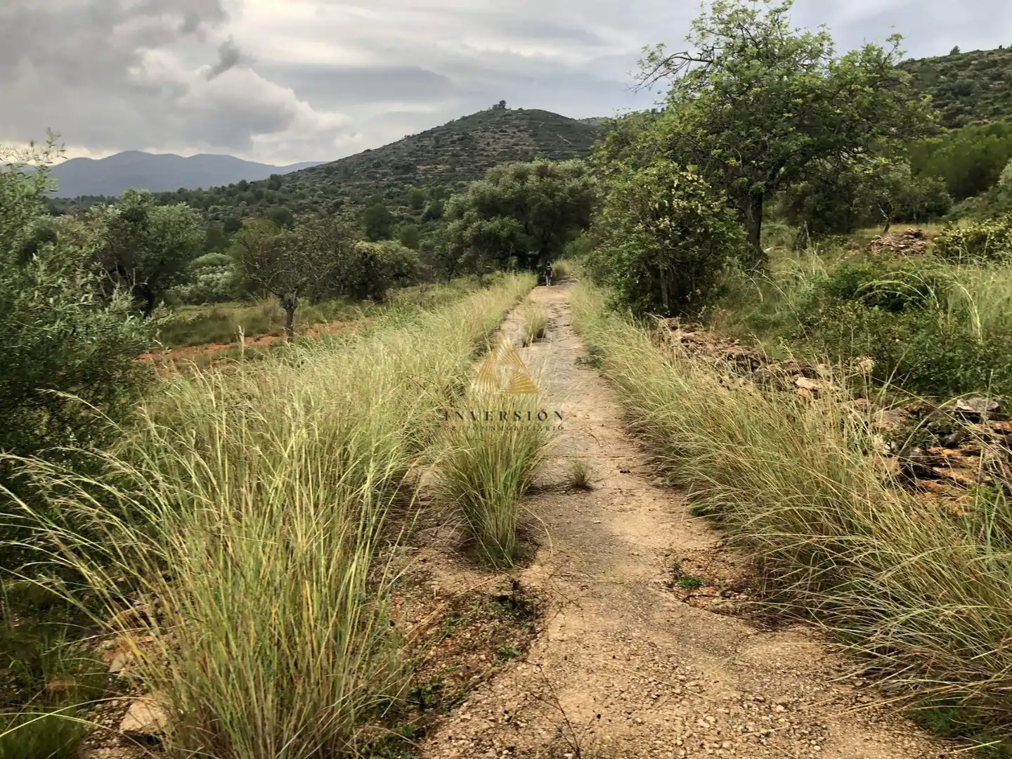Lands and plots for sale in Las Atalayas - Urmi - Cerro de Mar, imagen 9