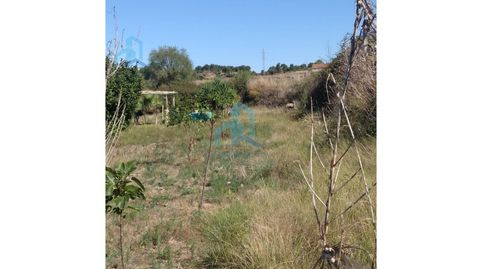 Photo 2 of Land for sale in Poligono 1 Paraje 42 Prats, Cabra del Camp, Tarragona
