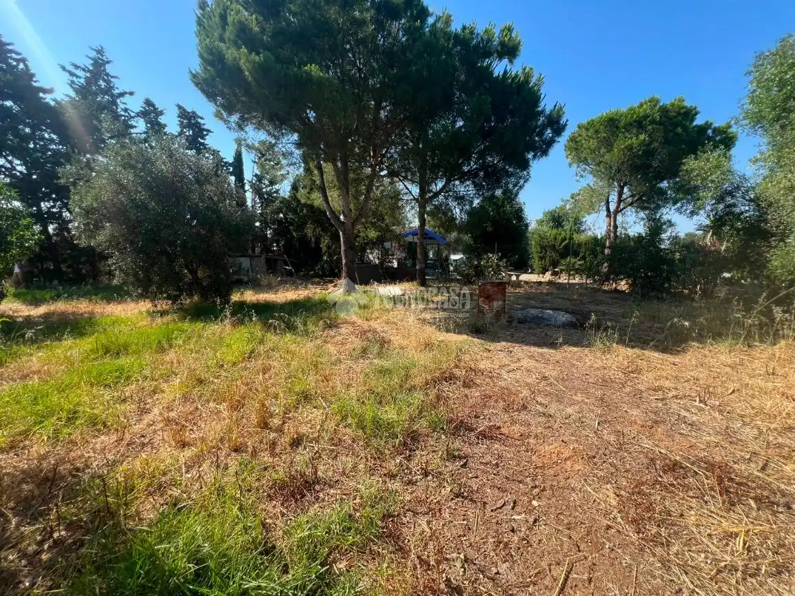 Rural land for sale in Roche, imagen 2