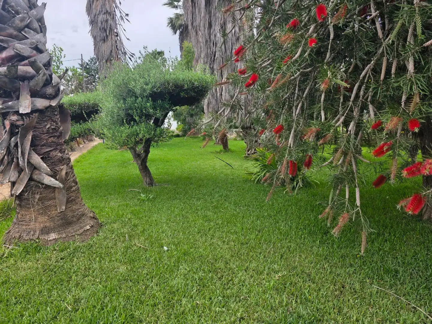 Terreno en venta en Amposta