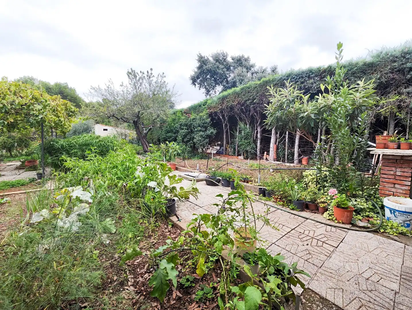 Jardí de Casa o xalet en venda en Puertollano amb Aire condicionat, Calefacció i Jardí privat