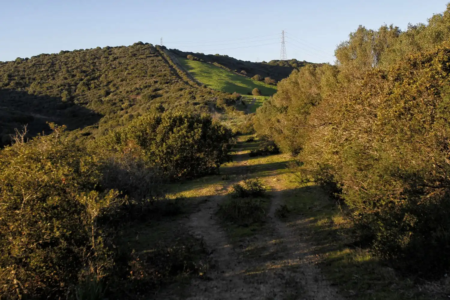 Maison rustique à vendre à San Martín del Tesorillo, imagen 39