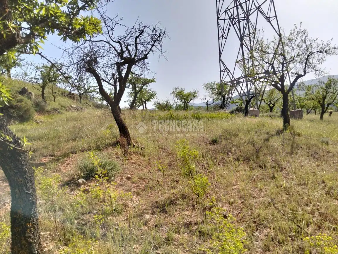 Rural land for sale in Dúrcal, imagen 21