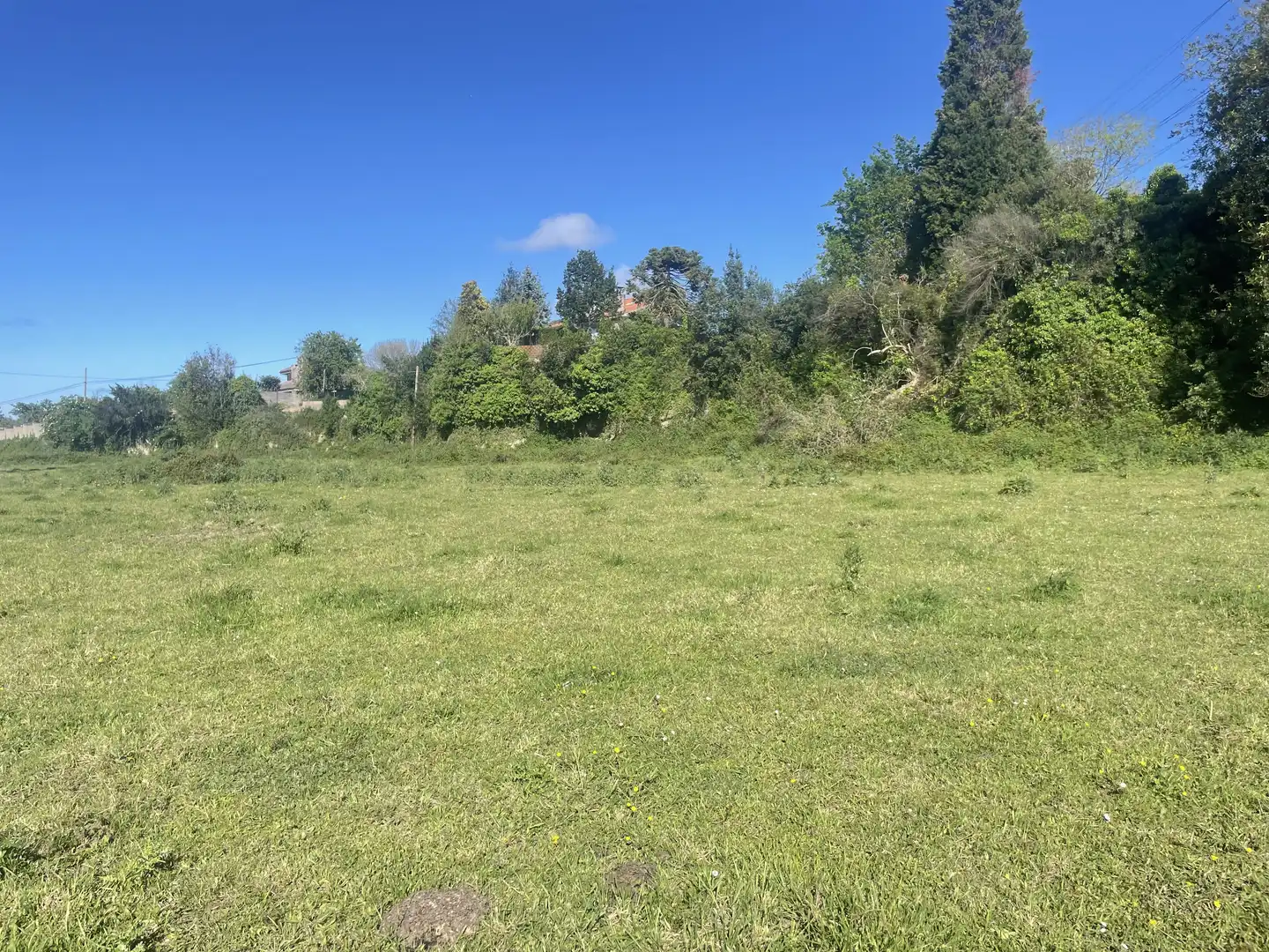 Terreno residenziale in vendita a Rural, imagen 10