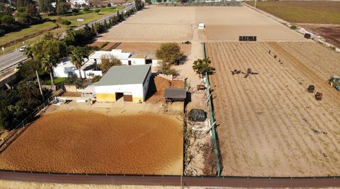 Foto 5 de Finca rústica en venta en Polígono la Ballena Poligono 9 Parcela 9, Las Tres Piedras - Costa Ballena, Chipiona
