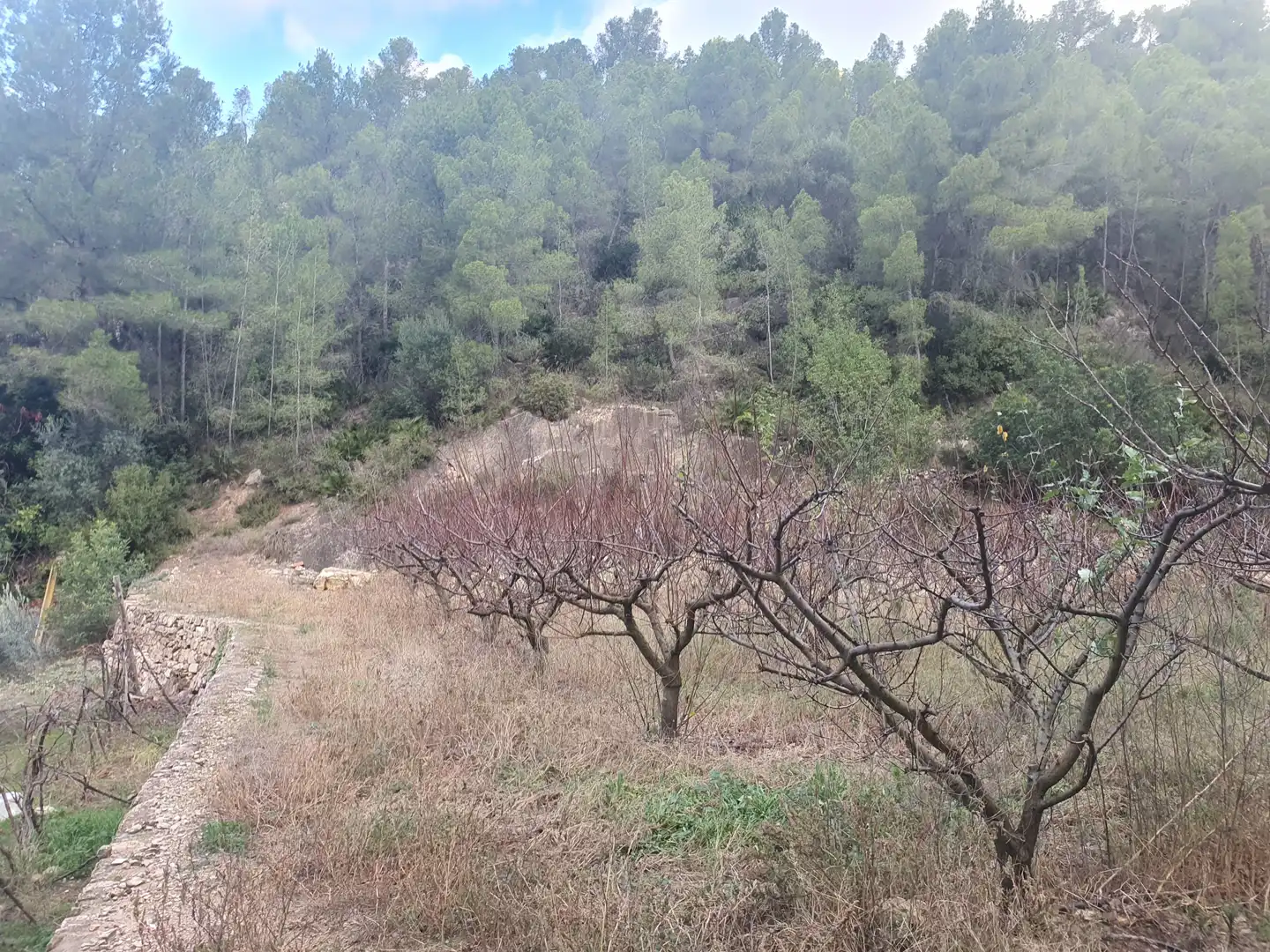 Terreno rústico en venta en Benifallet, imagen 14