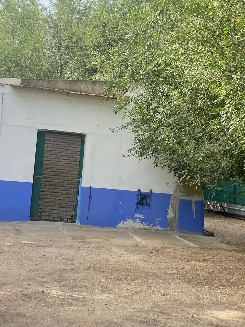 Terreno rústico en venta en Calle García Pavón, imagen 13