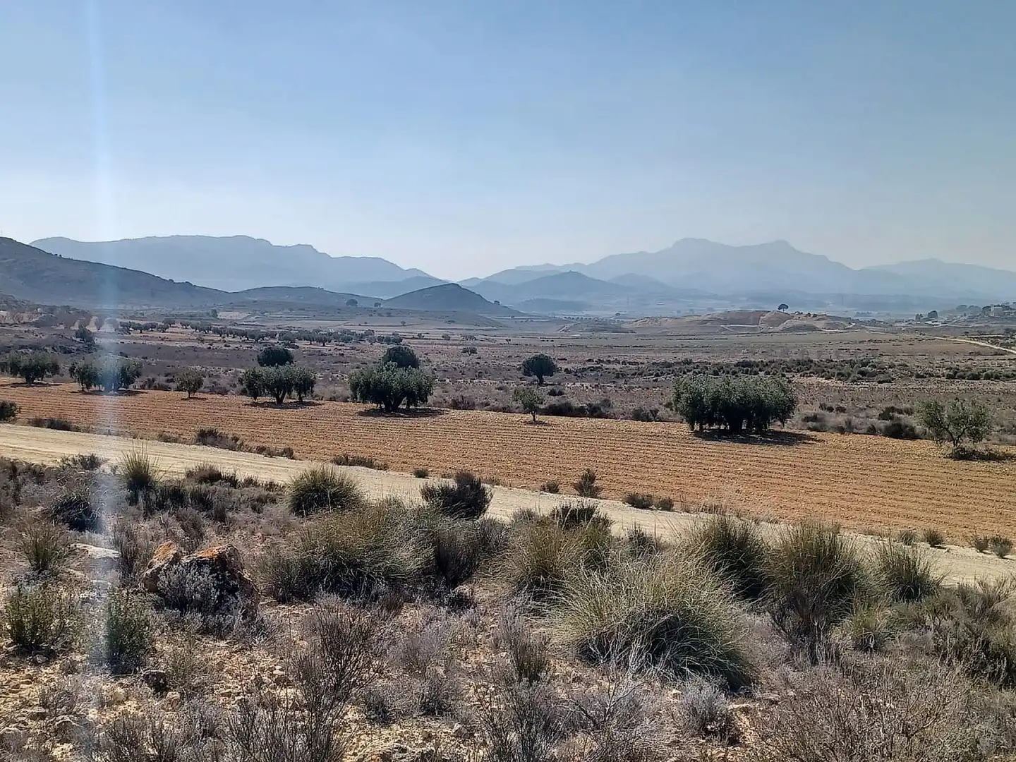 Rustikales Grundstück zum Verkauf in El Pinós / Pinoso, imagen 3