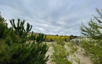 Finca rústica en venda en Águilas amb Piscina, Moblat i Forn