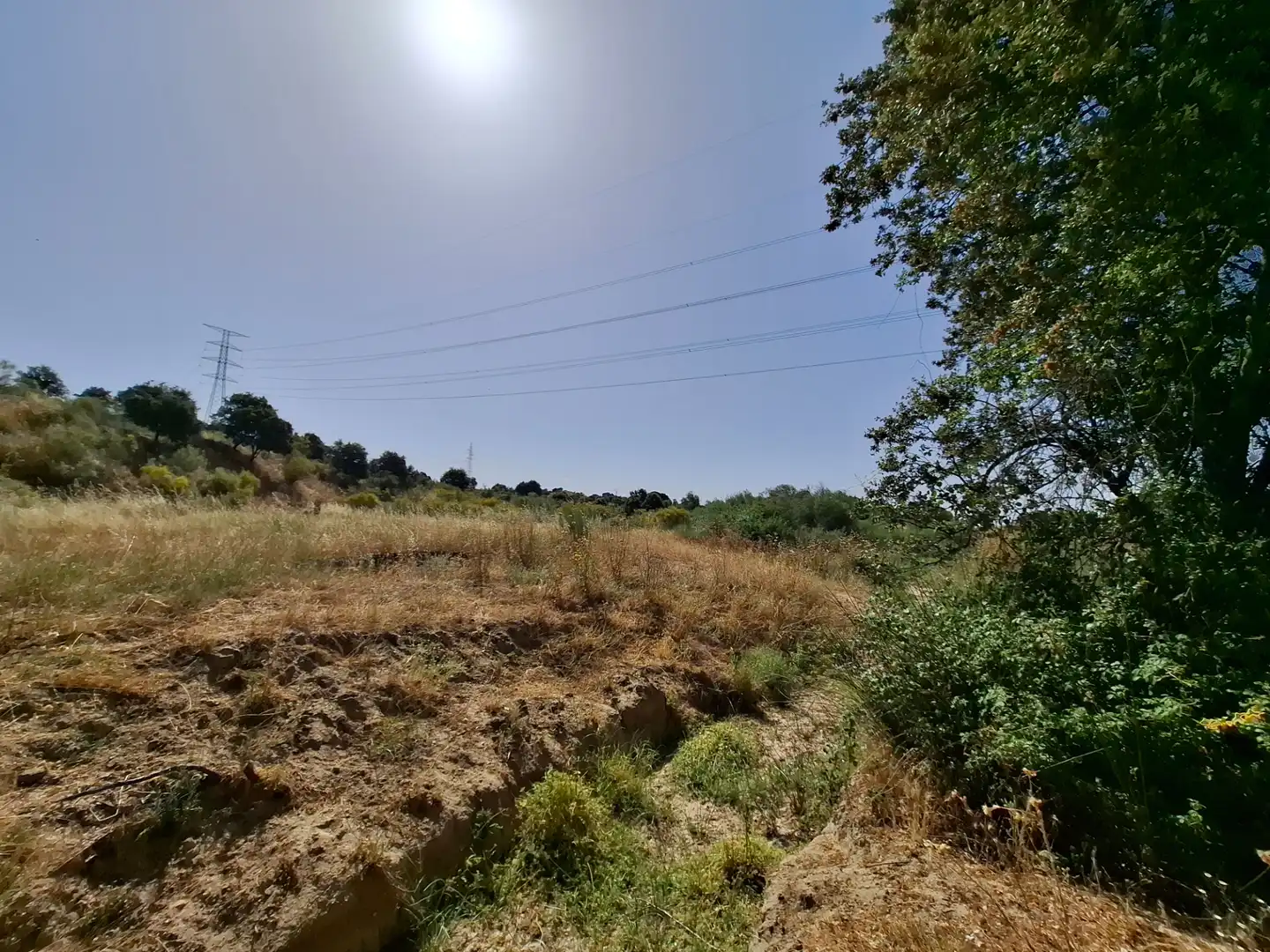 Rural land for sale in Colonia de la Estación, imagen 2