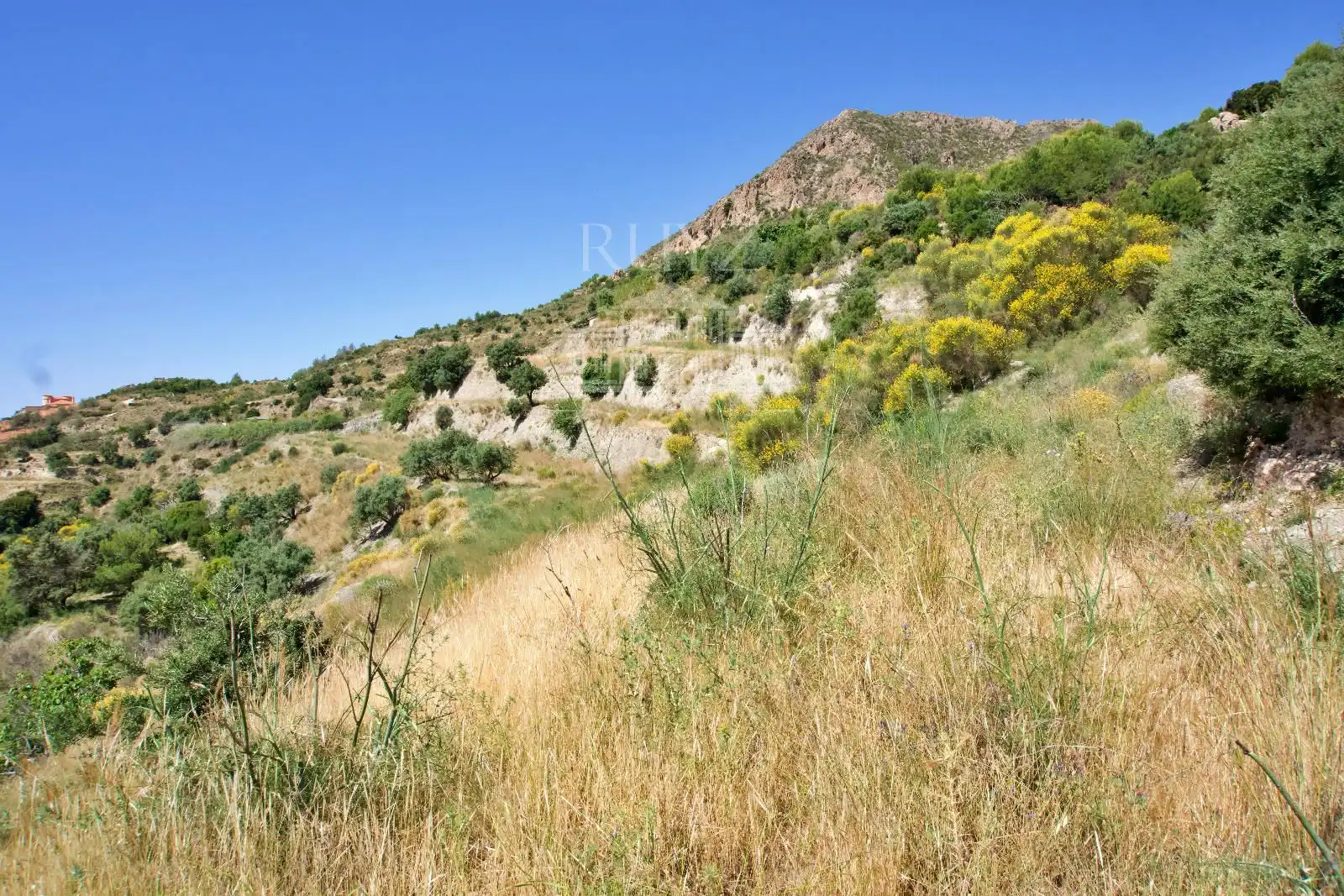 Terreny rústic en venda a Paraje Minchal Alto, imagen 4