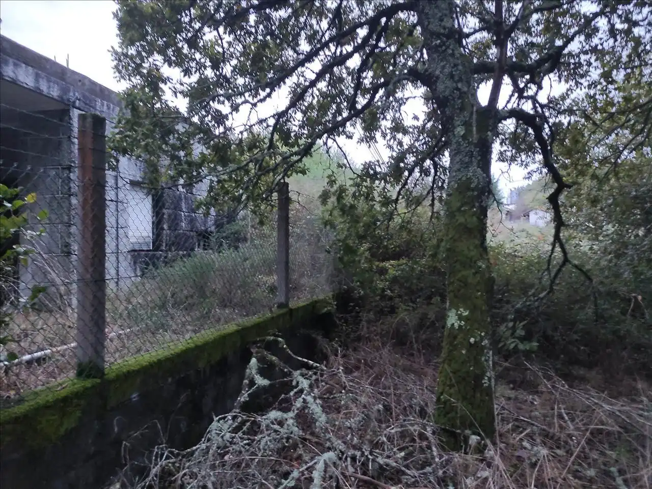 Gewerbefläche zum Verkauf in San Cristovo de Cea, imagen 2