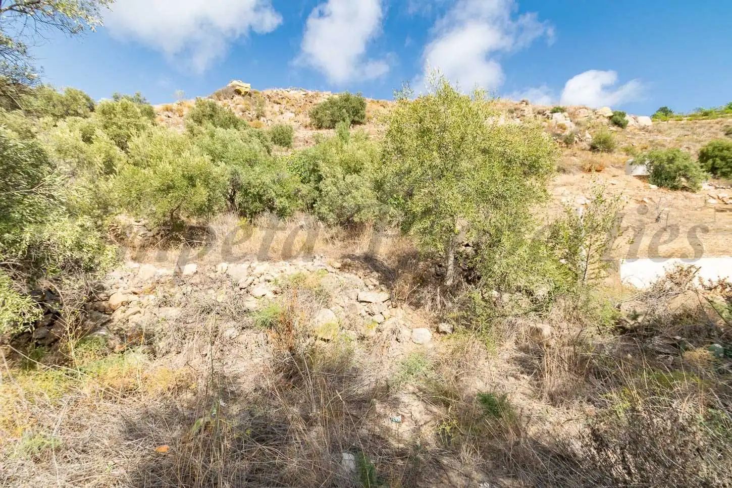 Terreno rústico en venta en Torrox Pueblo, imagen 7