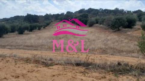 Foto 4 de Finca rústica en venta en Don Álvaro, Badajoz