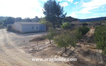 Finca rústica en venda en Maella