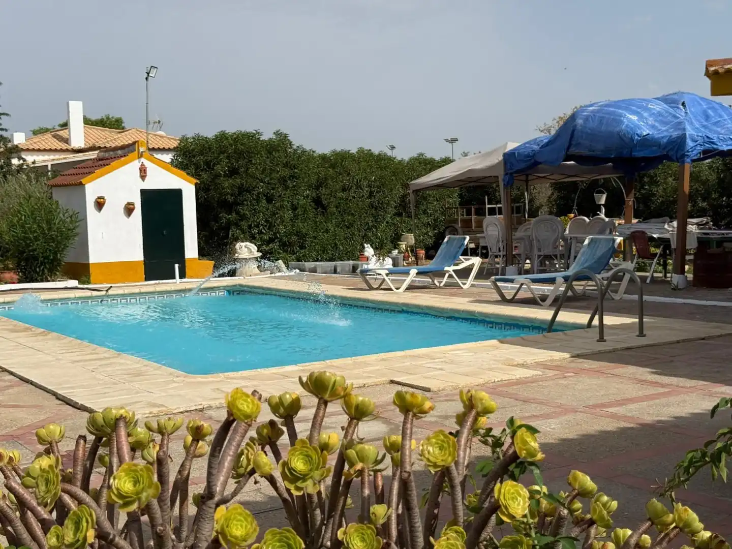 Xalet amb piscina en venda a 5 Urbanización los Jinetes 1 Fase, imagen 2