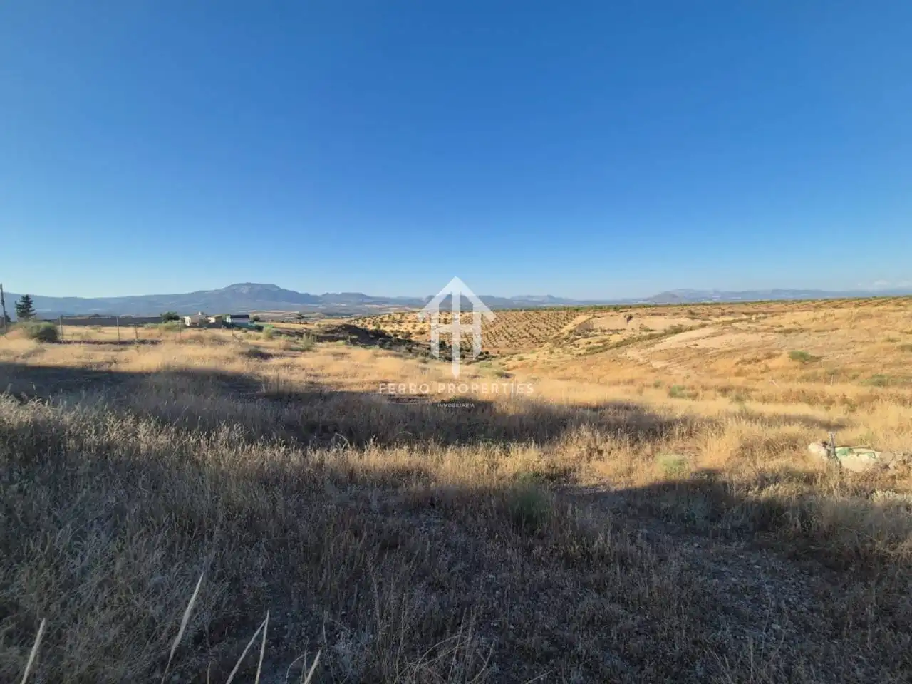 Rural land for sale in Moraleda de Zafayona, imagen 4