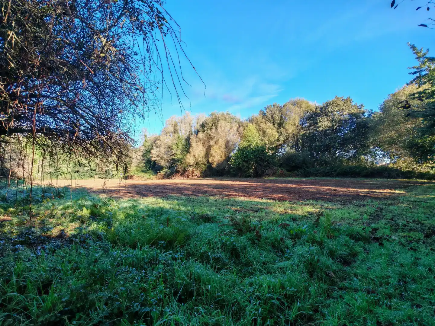 Land for sale in Sada (A Coruña)