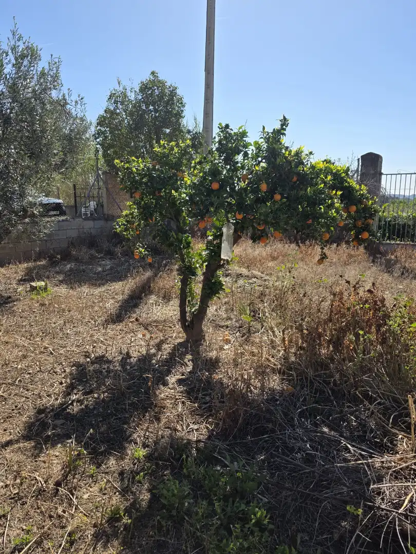 Casa o xalet en venda en Llíria amb Jardí privat, Terrassa i Piscina