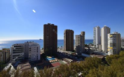 Vista exterior de Apartament en venda en Benidorm amb Parquet, Terrassa i Traster