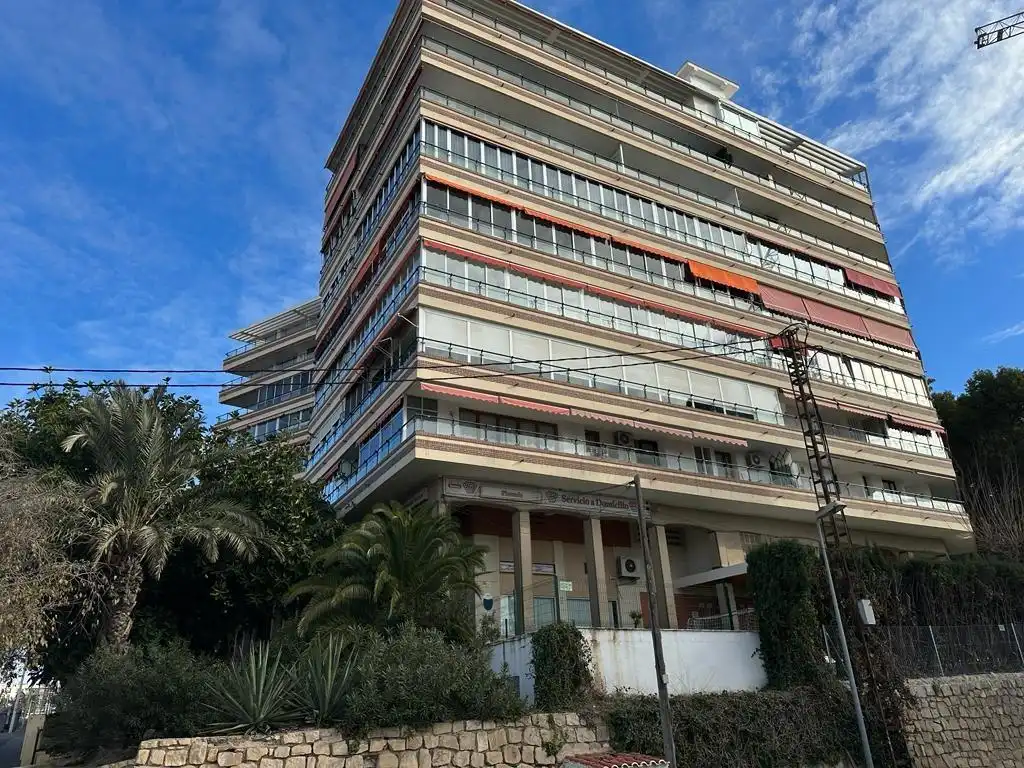 Pis amb terrassa en venda a Pla - Carolinas, imagen 35