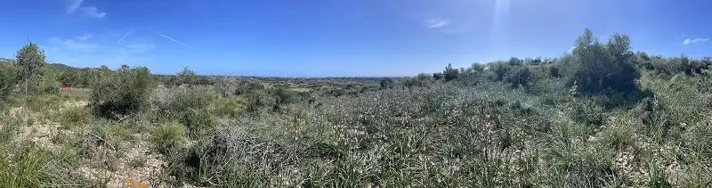 Terreno residencial en venta en Cala Murada, imagen 3