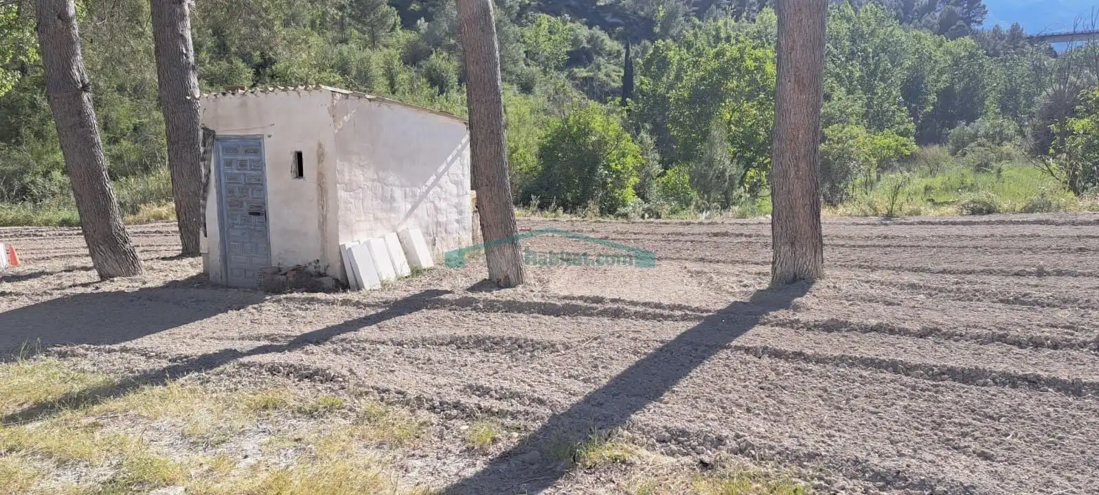 Terreno rustico in vendita a Cocentaina, imagen 14