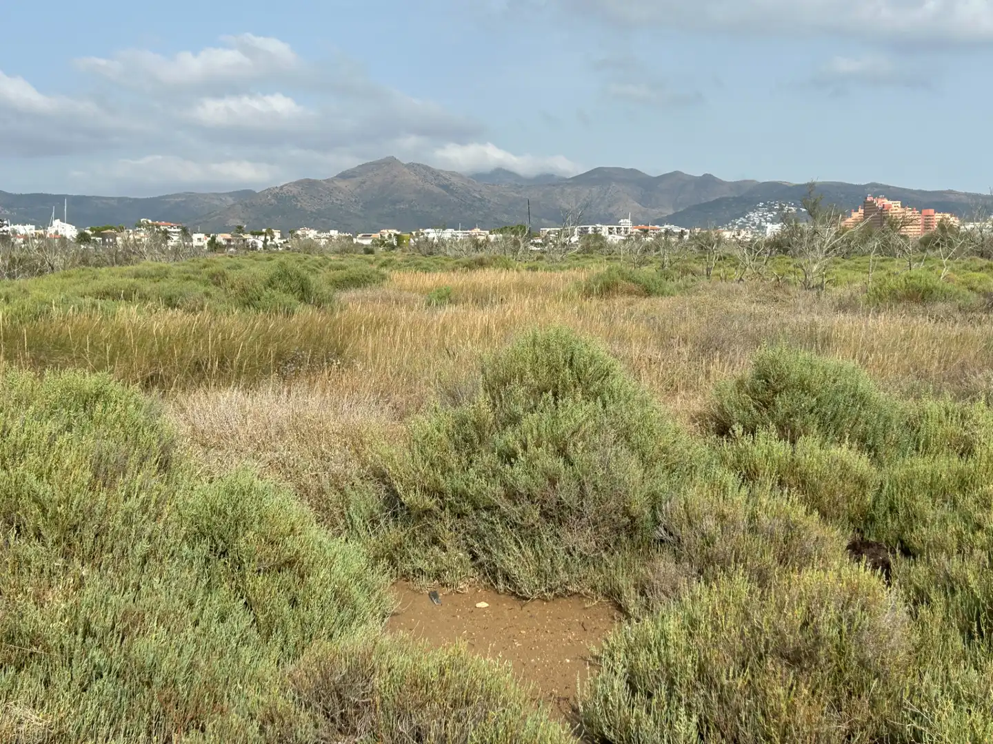 Terreny rústic en venda a Castelló d'Empúries, imagen 8