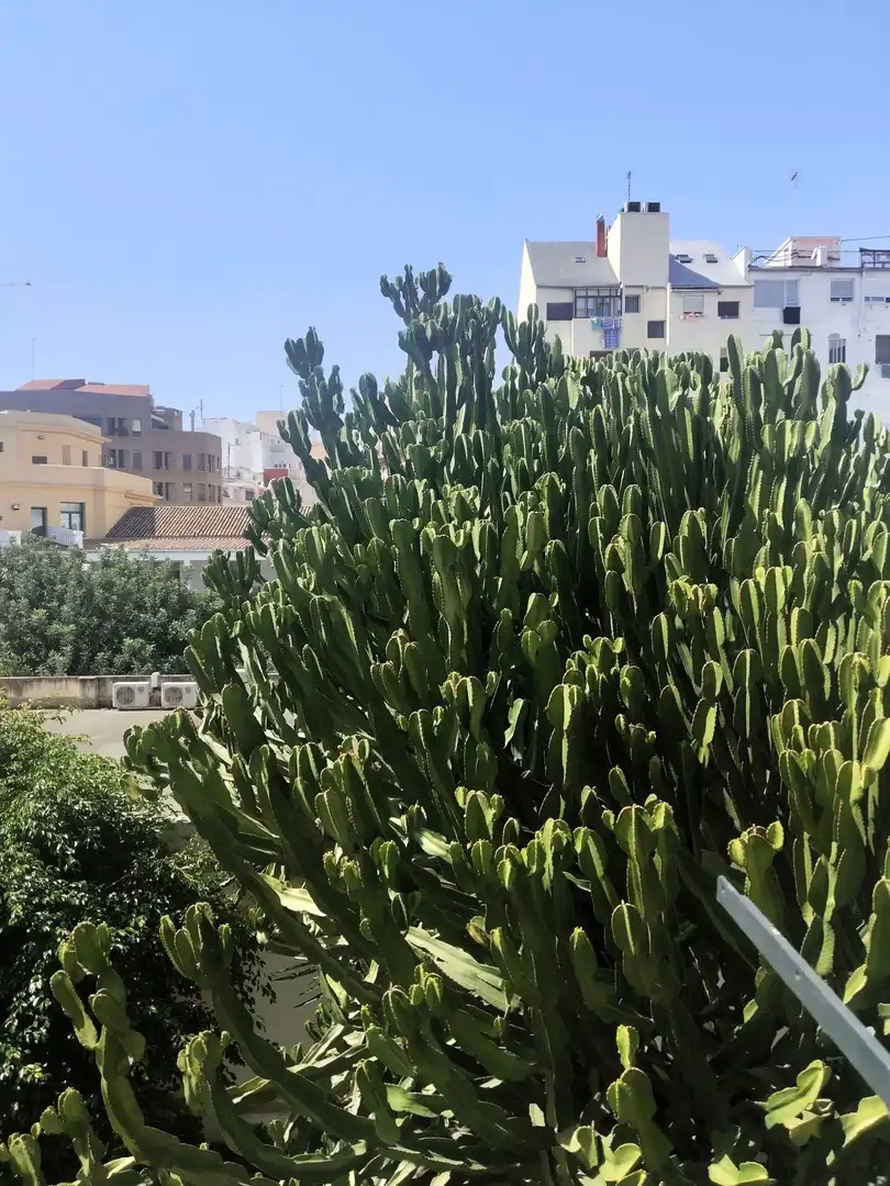 Appartement avec ascenseur à louer à L'Eixample, imagen 15