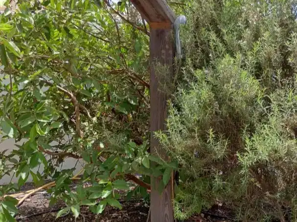 Vista exterior de Casa o xalet en venda en Yaiza amb Aire condicionat i Balcó