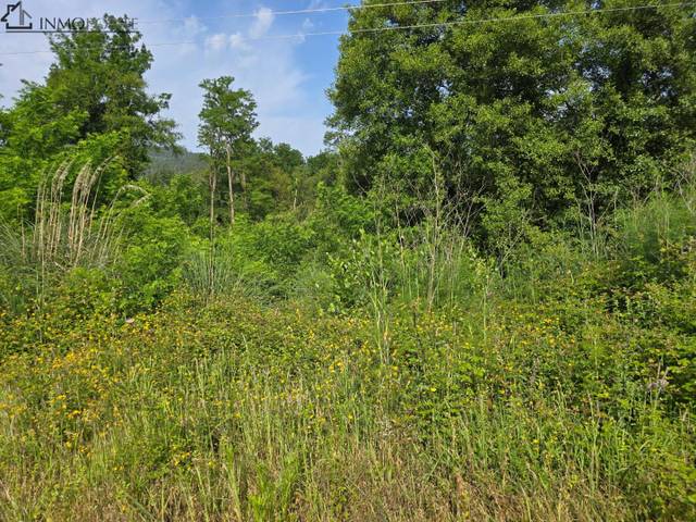 Terreno residencial en Venta en Centro - Echegaray