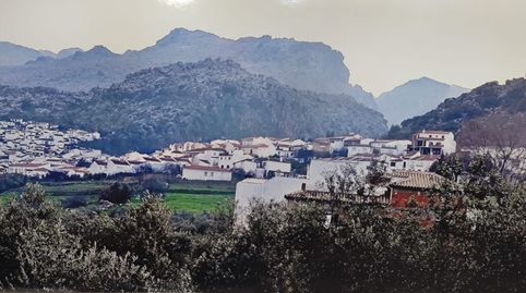 MONTEJAQUE Bajo con patio