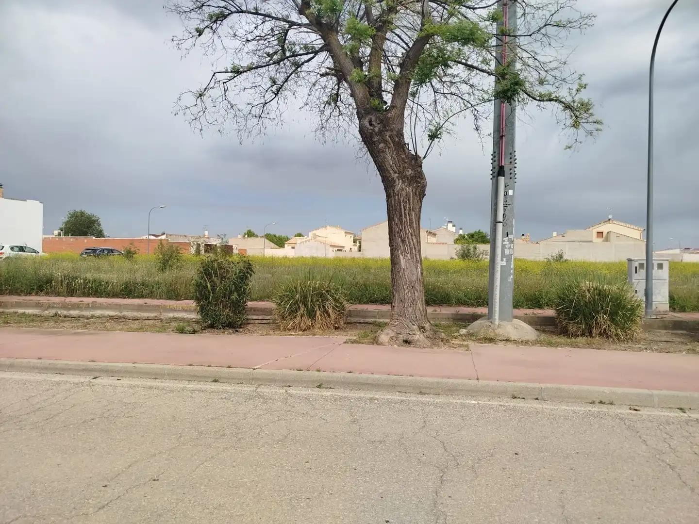 Lands and plots for sale in Corral de Almaguer, imagen 3