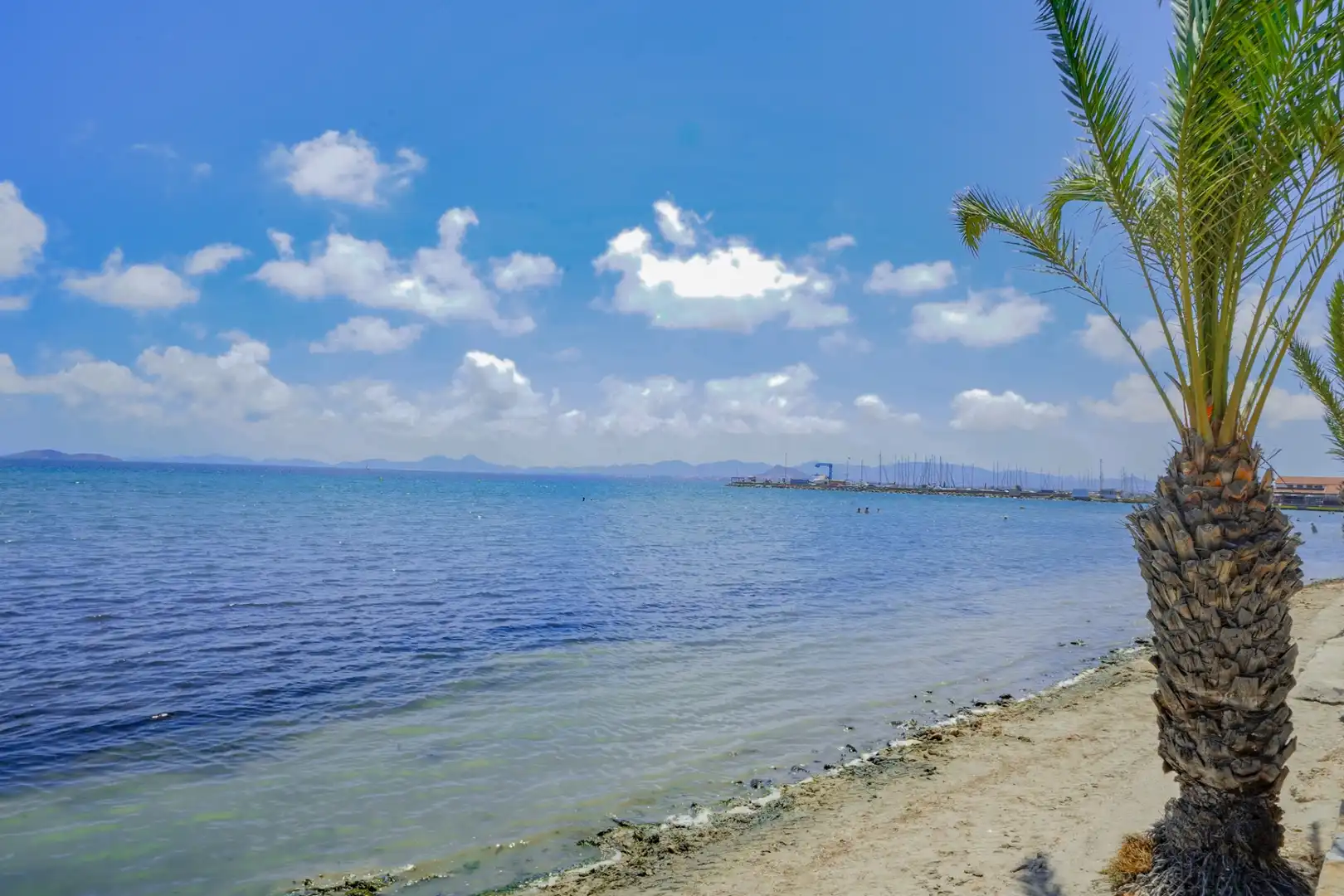 Attico con piscina in vendita a Las Lomas de Rame - Bahía Bella, imagen 62