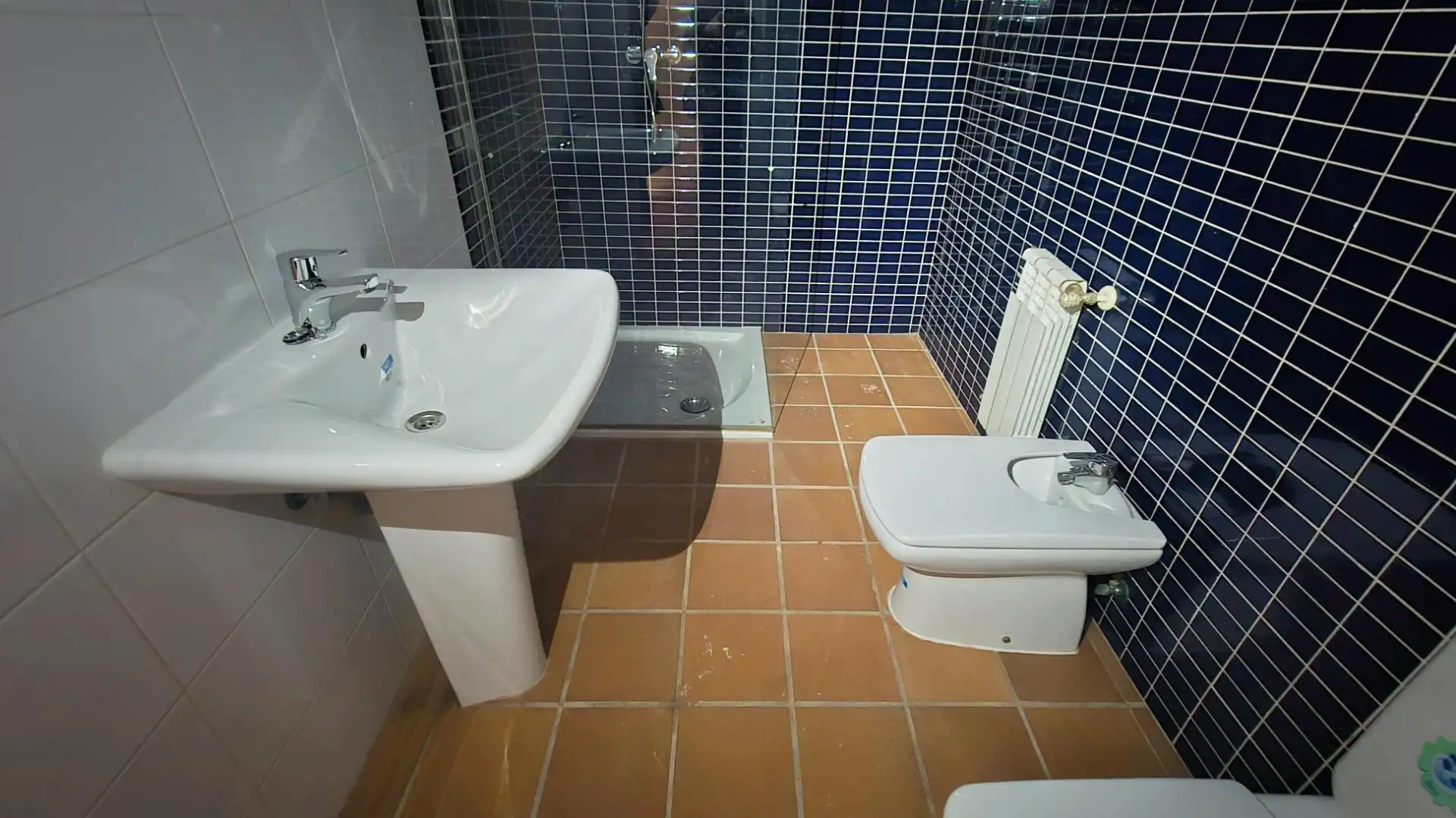 Bathroom of Detached homes for sale in Carrascal de Barregas