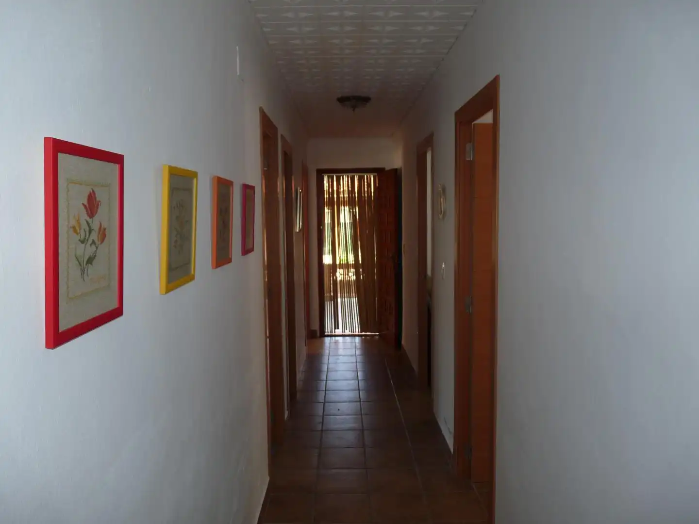 Houses for rent in Oliva Playa