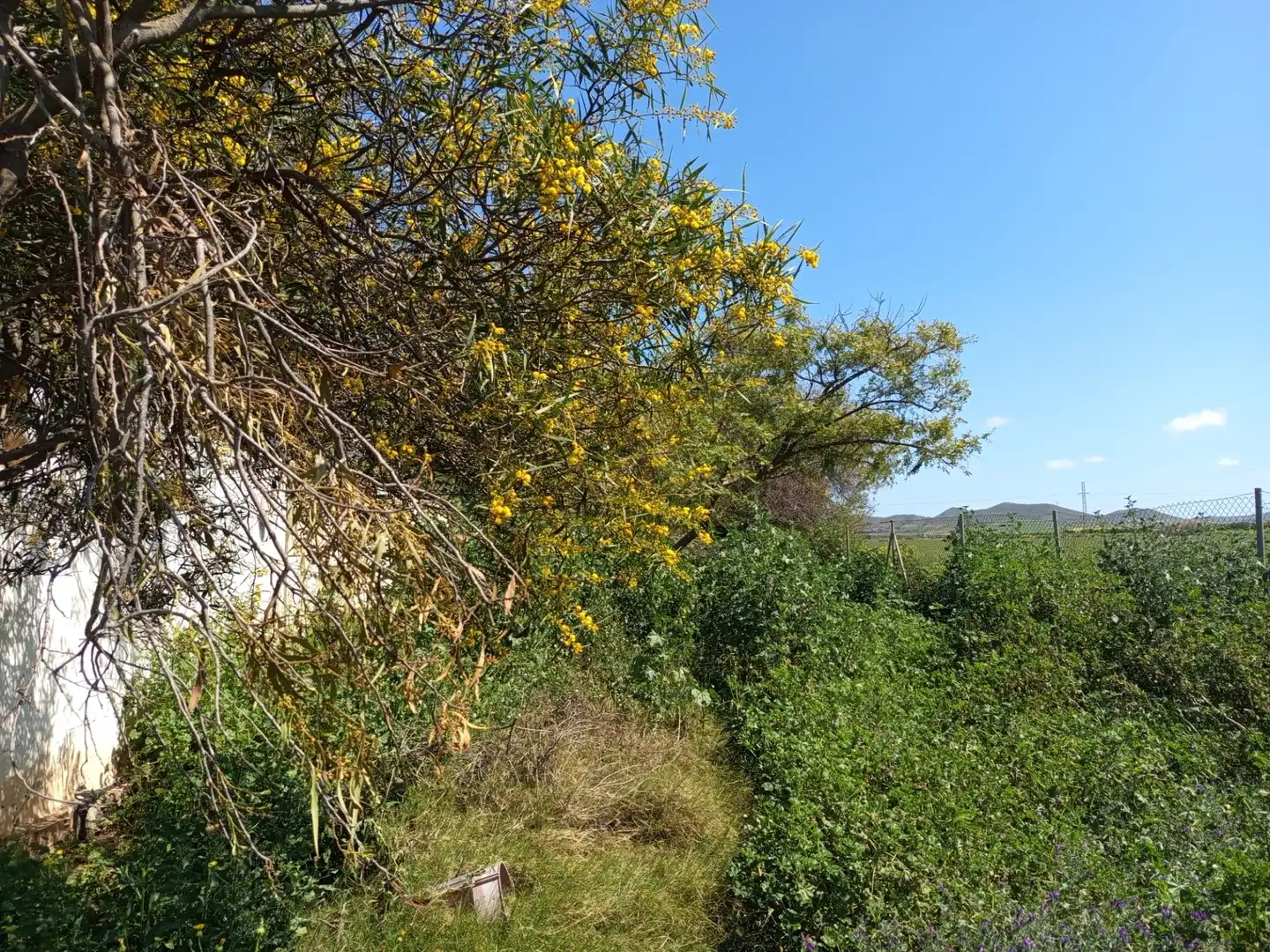 Nave industrial en venta en Fuente Álamo de Murcia