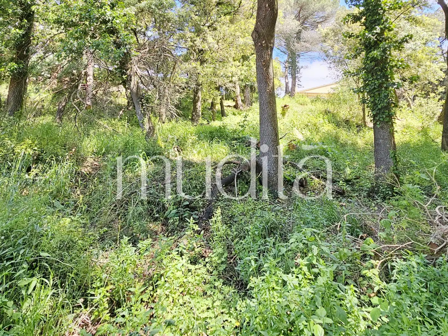 Residential land for sale in Sant Pere de Vilamajor, imagen 13
