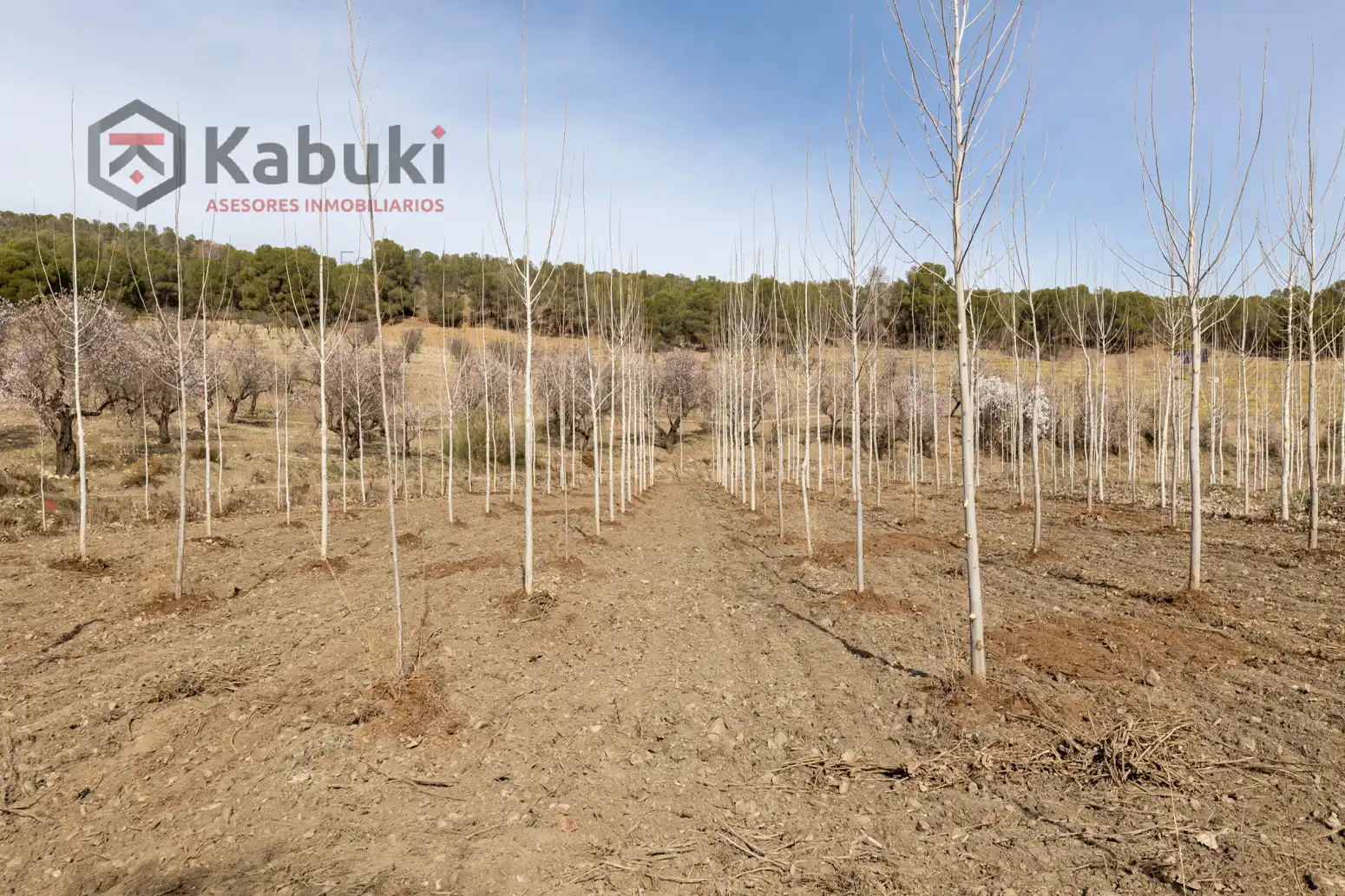 Terreni e lotti in vendita a Guadix - AUTE. VALLE DEL ZALABI, imagen 5