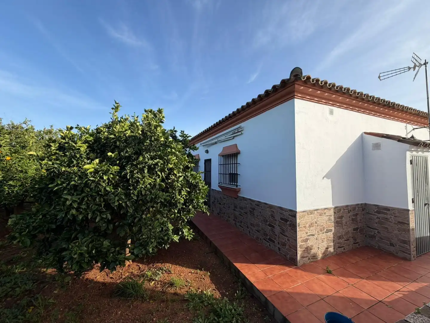 Vista exterior de Casa o chalet en venta en Chiclana de la Frontera con Jardín privado, Terraza y Trastero