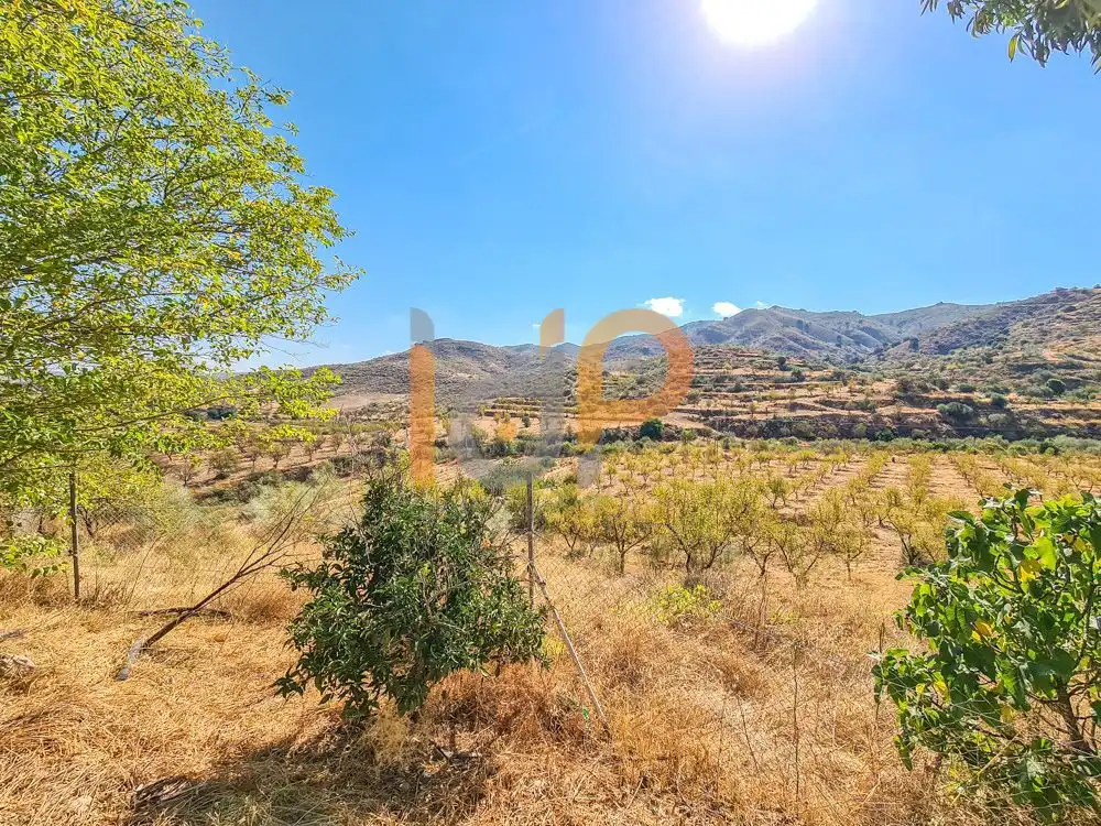 House for sale in Lubrín, imagen 19