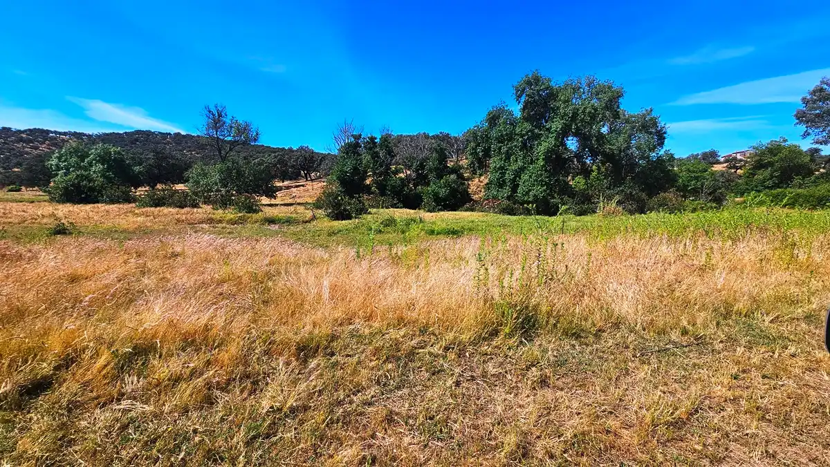 Terrenos y solares en venta en Aracena, imagen 42